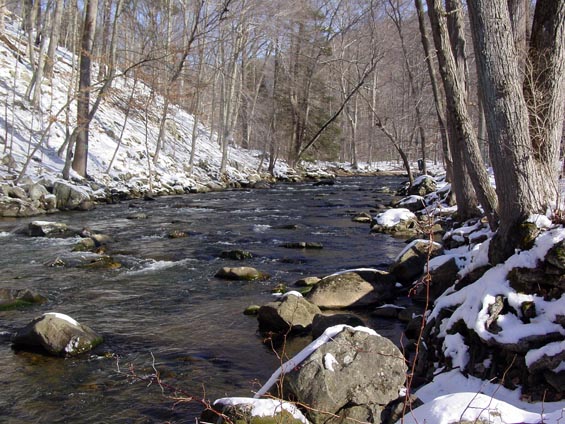 Winter on the South Branch