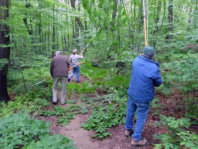 Point Mountain Tree Trimming