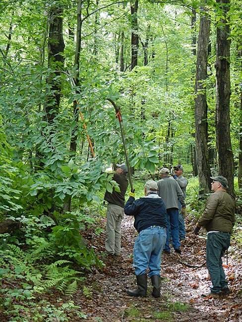 Point Mountain Tree Trimming