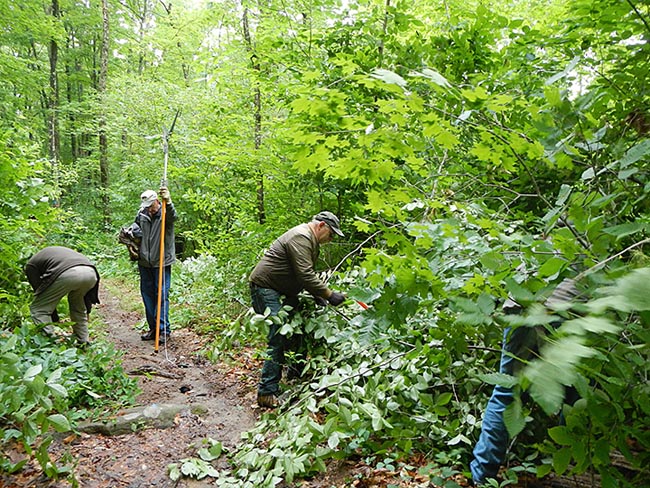 Point Mountain Tree Trimming