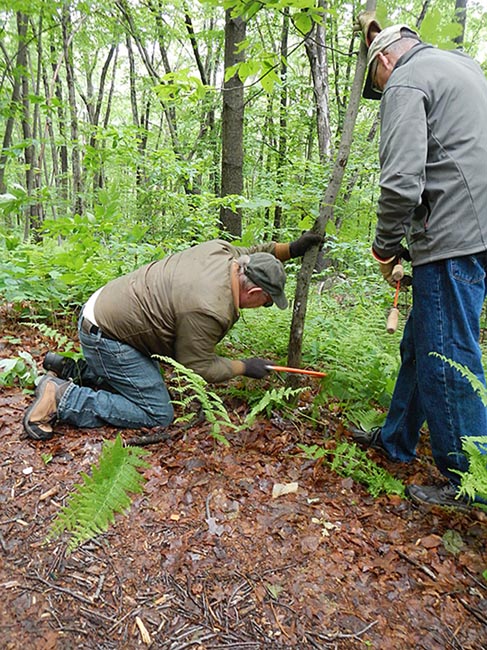 Point Mountain Tree Trimming