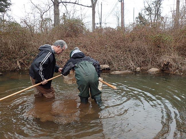 Sampling Stream Insects